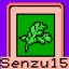 Mr Senzu