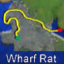 Wharf Rat