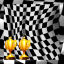 Expert Year 2