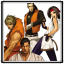 Damage Counter 5: Art of Fighting Team