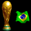 Brazil Wins