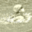 Swimming - Breaststroke - WR