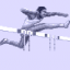 Track - 110 Meter Hurdles - WR