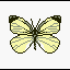 Wetland Butterfly