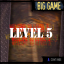 Level 5