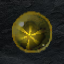 Chrysus