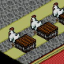 Chicken! Chicken! Chickens!!