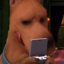 Game Boy Advance Secret Code