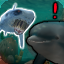 Shark Attack Pack