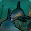 Tutorial Dolph