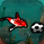 Hey EccRyo, Let's Play Soccer!