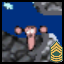 Highly Competent