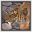 Pit Tiger
