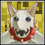 Man's Best Friend
