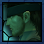 Green Beret