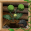 Strange Houseplant