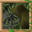 Upstream Lizard