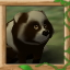 Downstream Raccoon