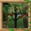 Fruit Grows on Trees