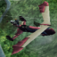 Yuki's Wings