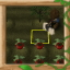 Skilled in Agriculture