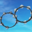 Tambourine Collection