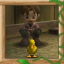 Need More Ducks