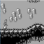 The Cave