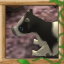 A New Friend