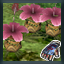 Adol the Plant Crusher