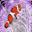 Tropical Fish 2