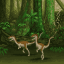 Velociraptor