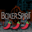 Boxer Spirit - A-Spec Challenge