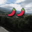 Umbria Rally (Hard)