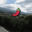 Umbria Rally (Normal)
