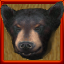 Rainy Lodge - Black Bear