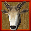 Lofty Air Lodge - Stone Sheep