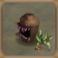 Risky Herb Picking