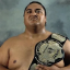 Best Sumo Warrior