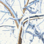 The Snowy Mountains