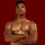 Ty Fighter
