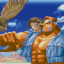 Hawk Finish