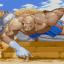 Sagat Finish