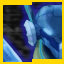 Zone of the Speeders