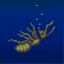 Surface Tension
