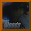 World Champion: Woods