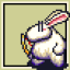 Rabbit Man