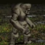Golem