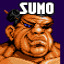 Racer Sumo