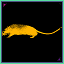 Rats Champion